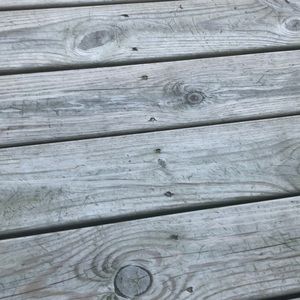 Meet your Posher, Ella